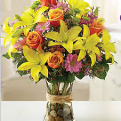 Seller Image